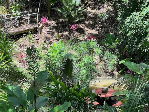 Puesta Del Sol Hotel Quepos Eksteriør billede