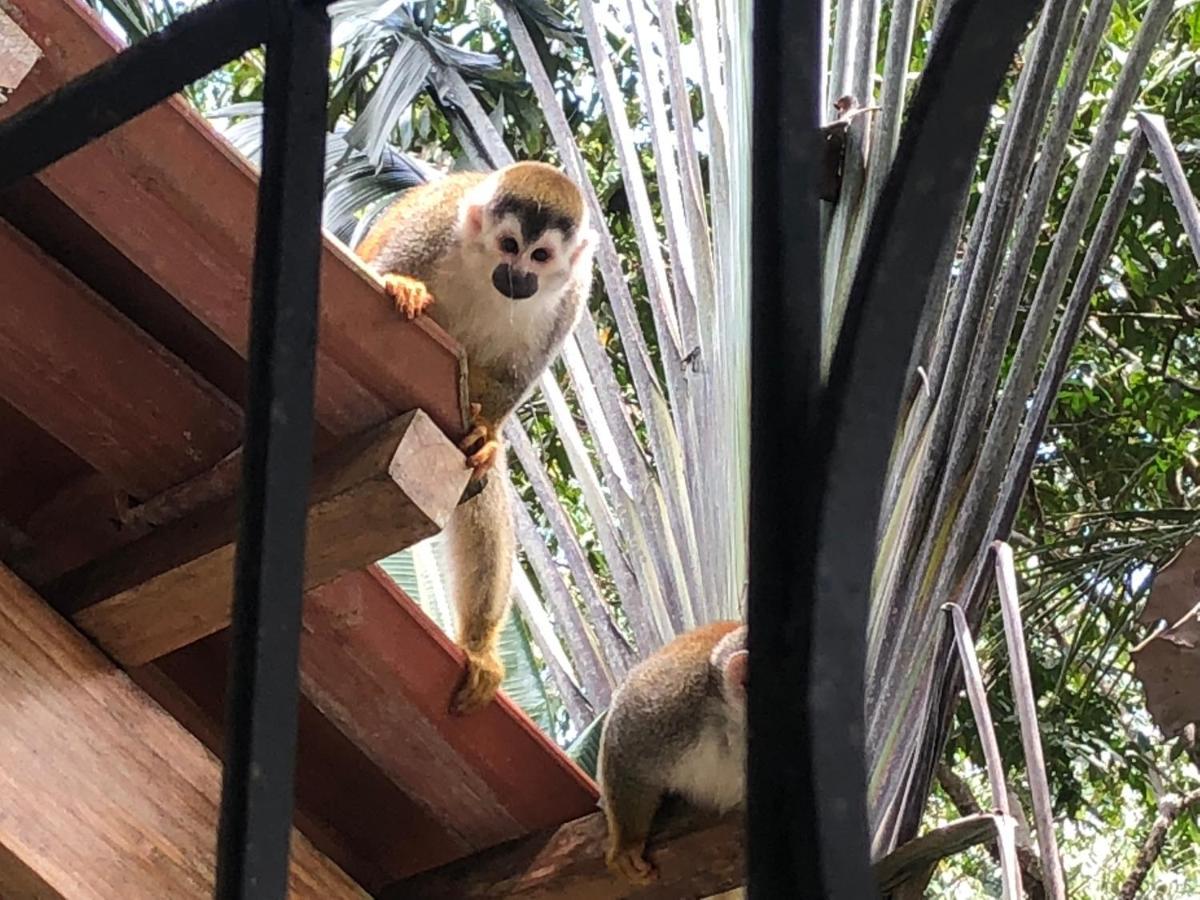 Puesta Del Sol Hotel Quepos Eksteriør billede