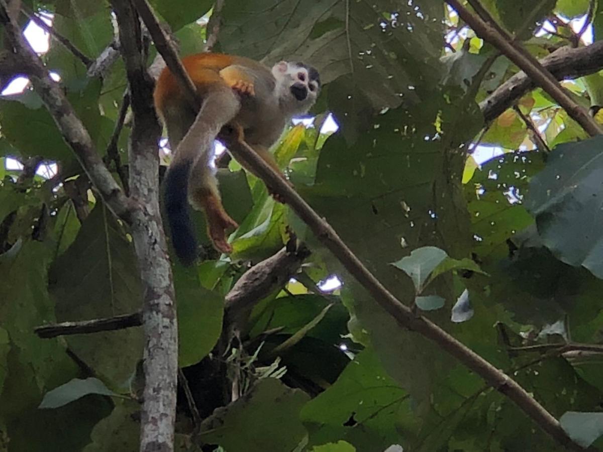 Puesta Del Sol Hotel Quepos Eksteriør billede