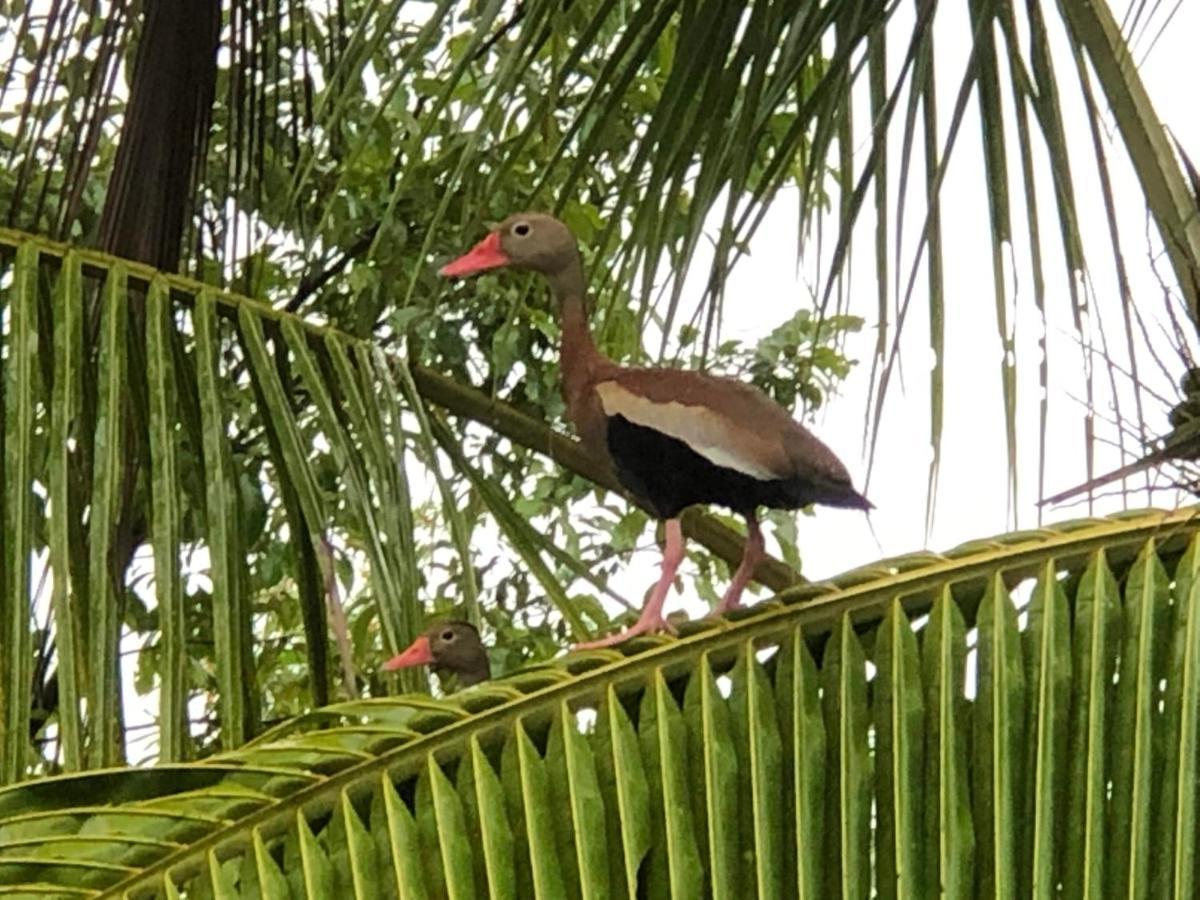 Puesta Del Sol Hotel Quepos Eksteriør billede