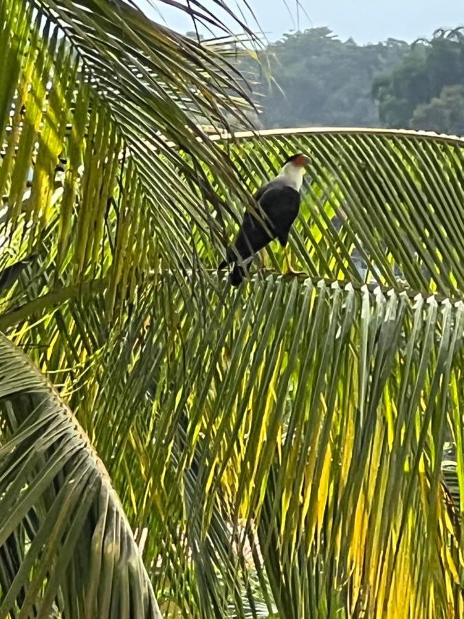 Puesta Del Sol Hotel Quepos Eksteriør billede