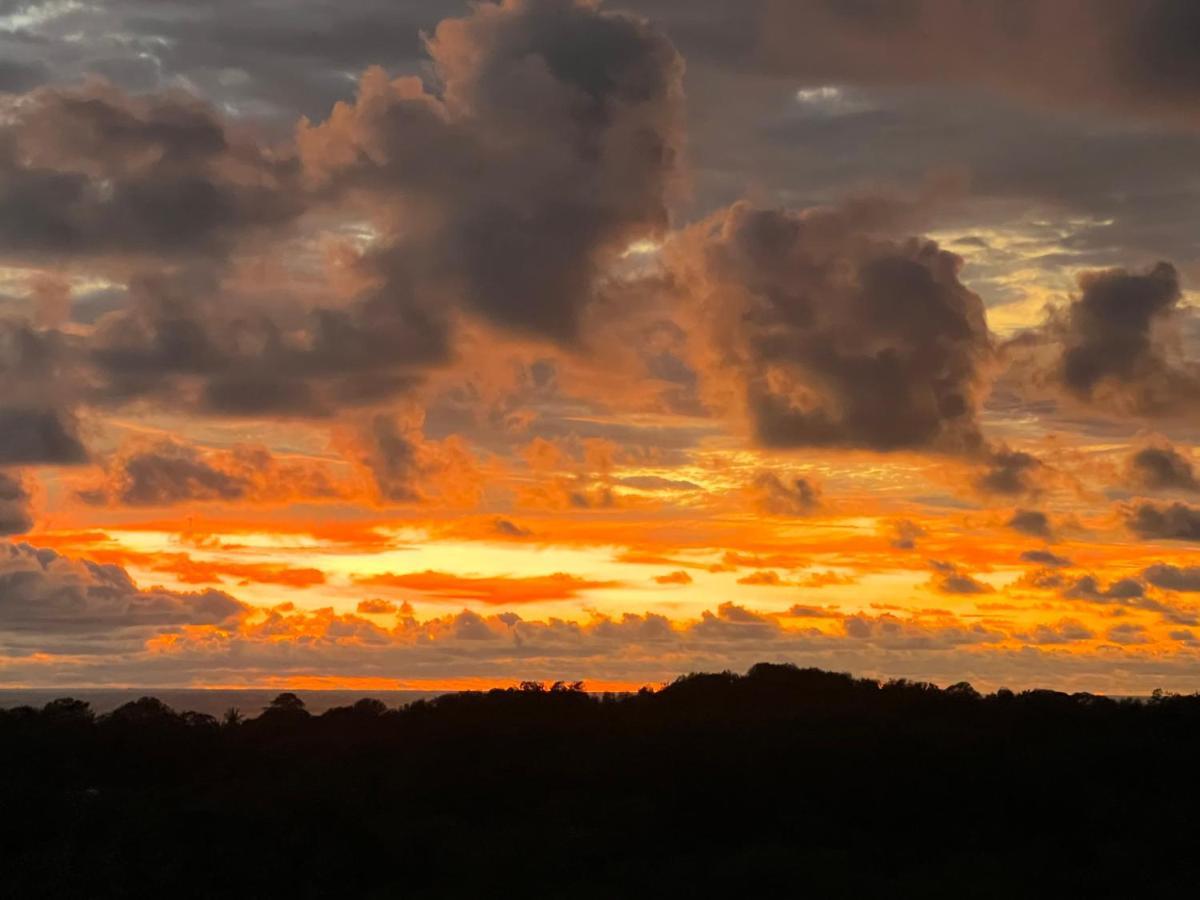 Puesta Del Sol Hotel Quepos Eksteriør billede
